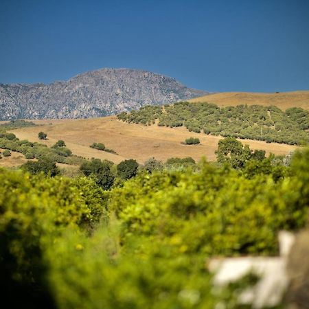 Finca Los Pajaros San Pablo Eksteriør bilde