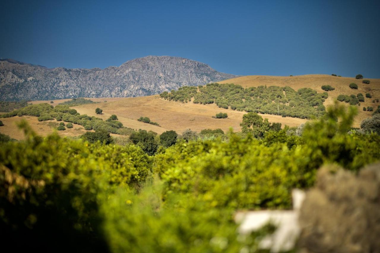 Finca Los Pajaros San Pablo Eksteriør bilde